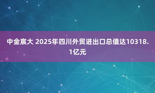 中金宸大 2025年四川外贸进出口总值达10318.1亿元