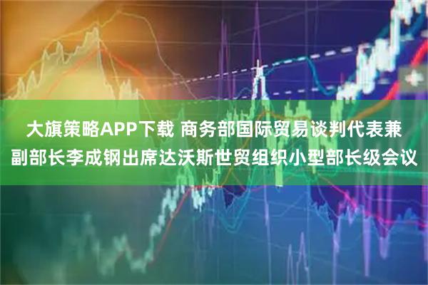 大旗策略APP下载 商务部国际贸易谈判代表兼副部长李成钢出席达沃斯世贸组织小型部长级会议